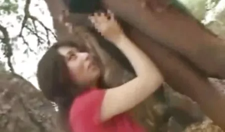 مادر فیلم سکسی بکن بکن پخش شود نیاز به برخی از کار